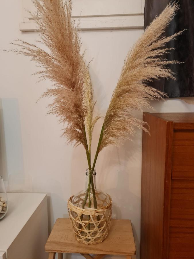 Apartament Sete T2 Cosy Et Chaleureux Quartier Gare Zewnętrze zdjęcie